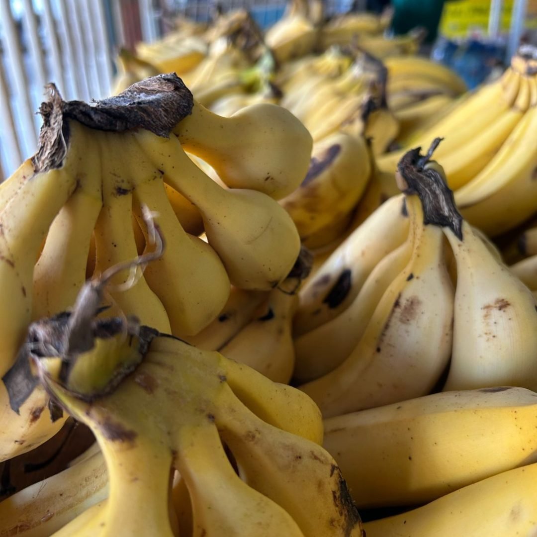 WhatsApp Image 2025-07-17 at 20.14.25 (1)