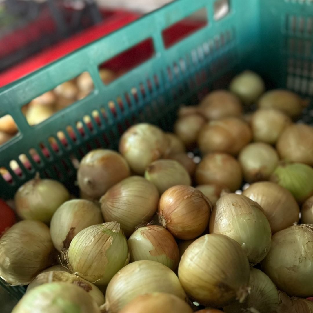 WhatsApp Image 2025-07-17 at 20.14.26 (1)