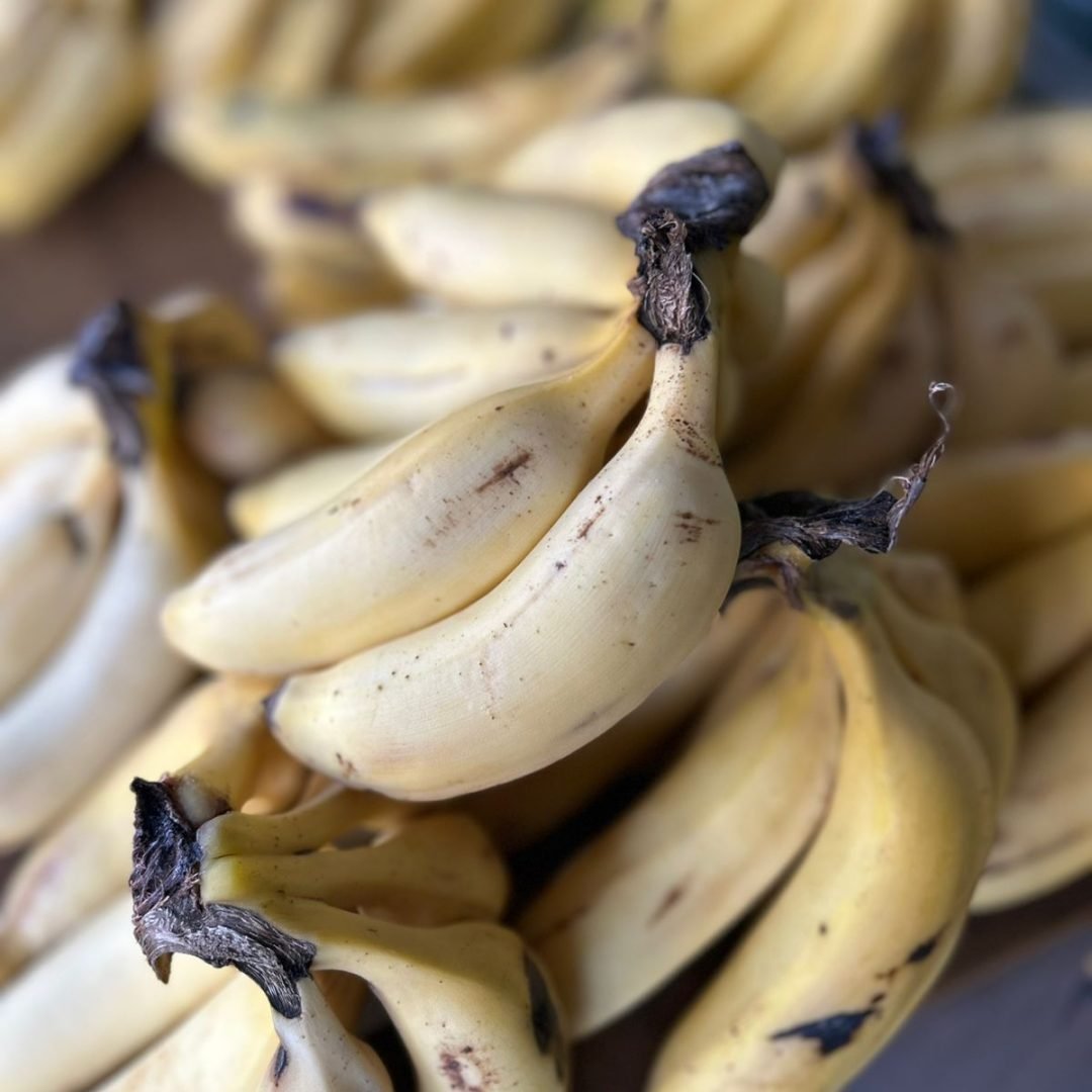 WhatsApp Image 2025-07-17 at 20.14.26 (2)