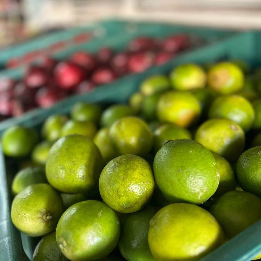 WhatsApp Image 2025-07-17 at 20.14.26