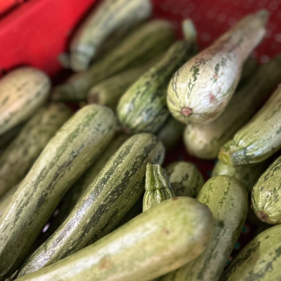 WhatsApp Image 2025-07-17 at 20.14.27 (1)