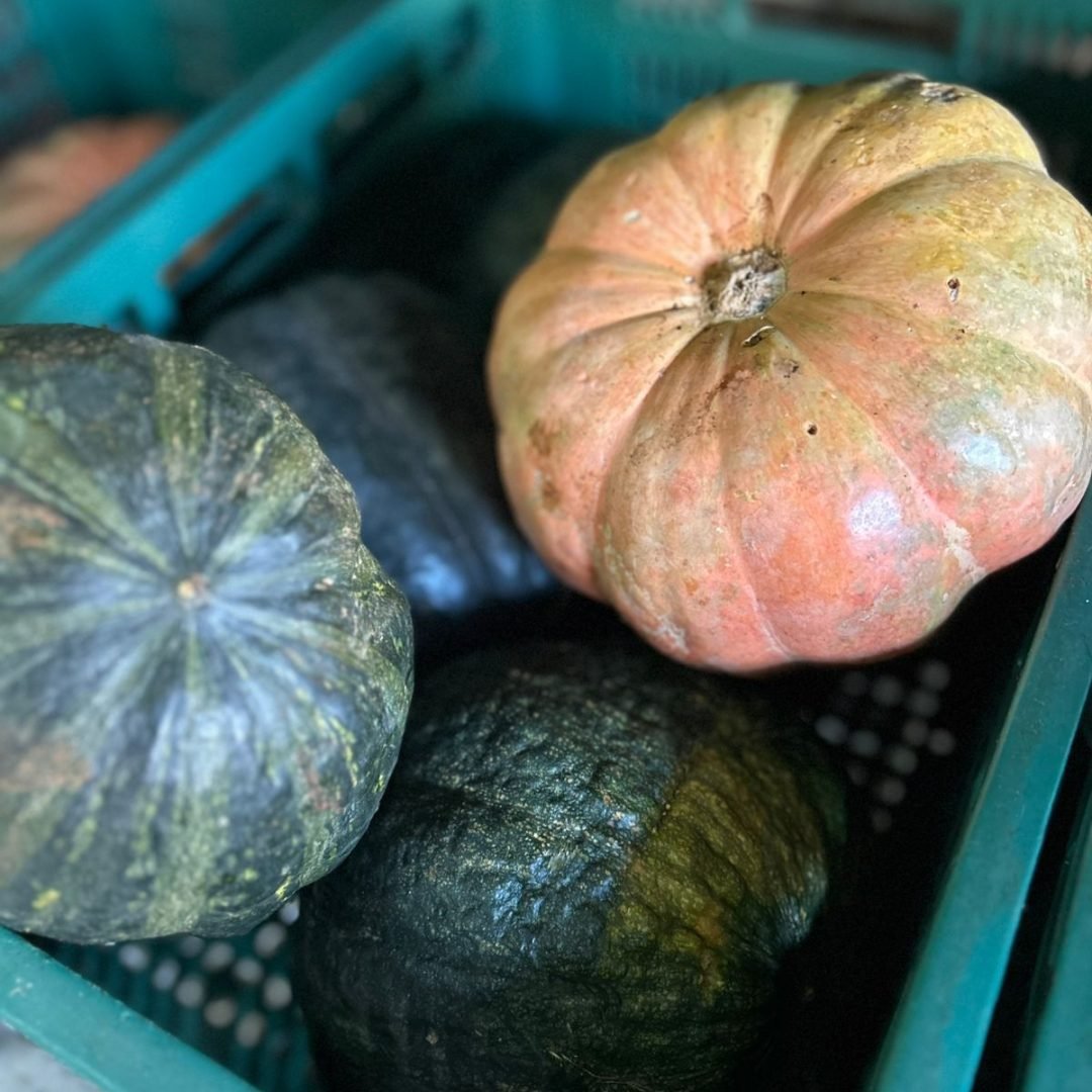 WhatsApp Image 2025-07-17 at 20.14.27 (2)