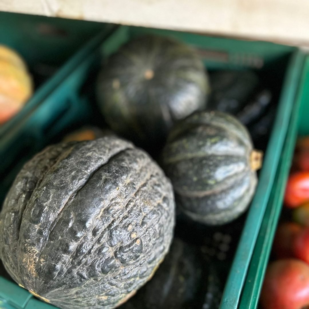 WhatsApp Image 2025-07-17 at 20.14.27