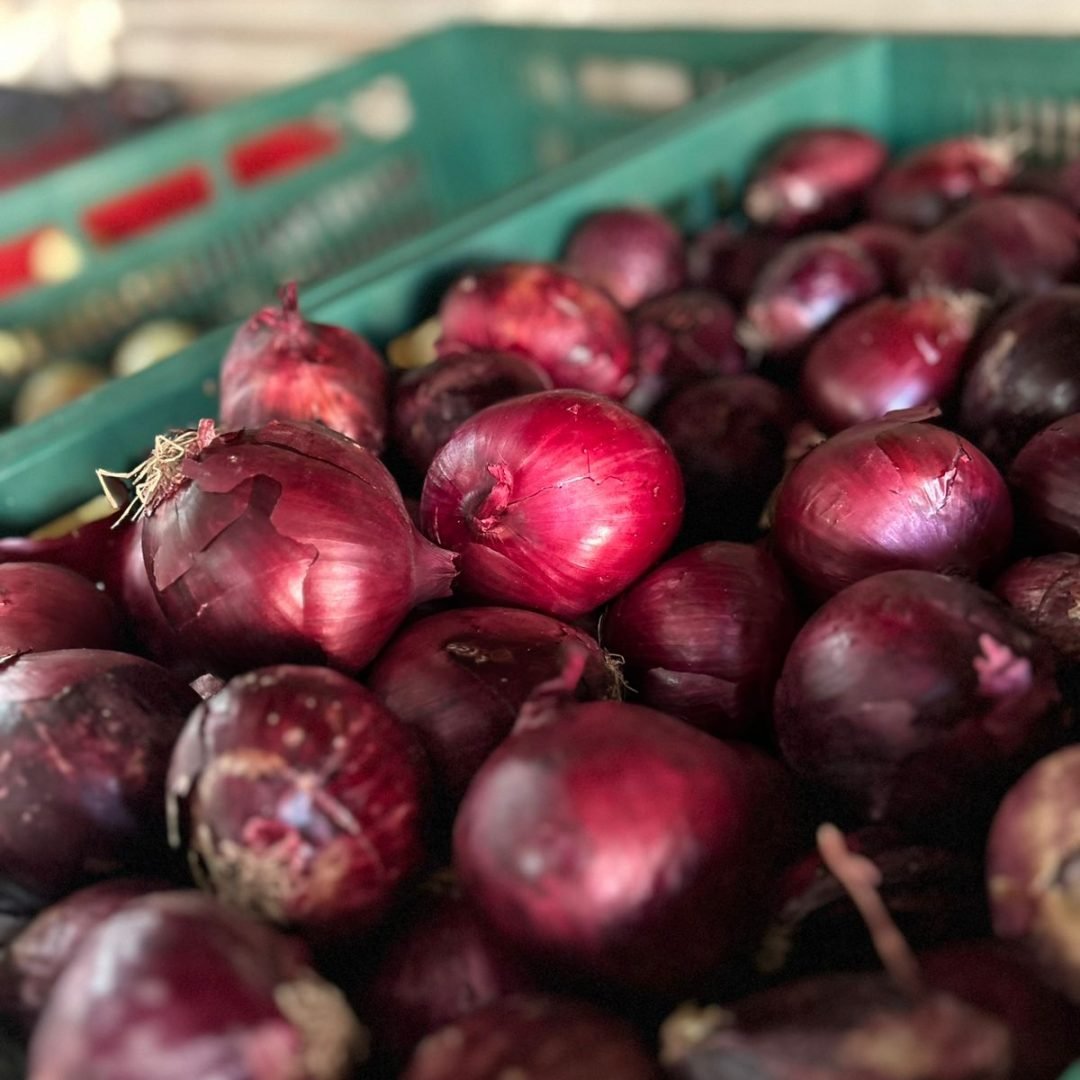 WhatsApp Image 2025-07-17 at 20.14.28 (1)