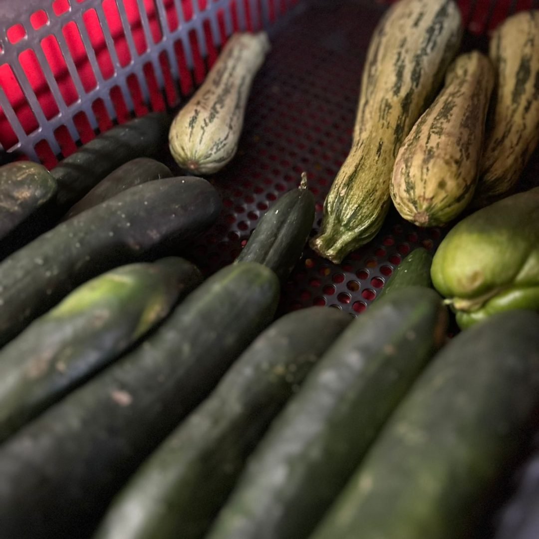 WhatsApp Image 2025-07-17 at 20.14.28